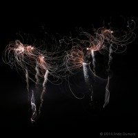 /album/light-painting/frida-dumont-img-0785-jpg/